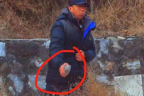 可:控核—聚变概念股活跃 合锻智能11天7板