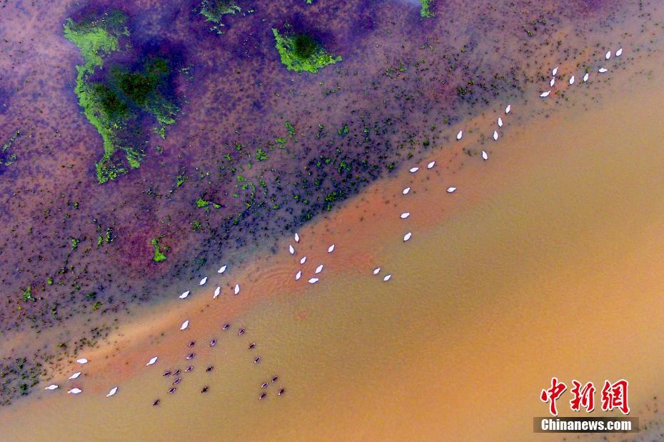 大!船天津建造首艘LNG双燃料VLCC开工