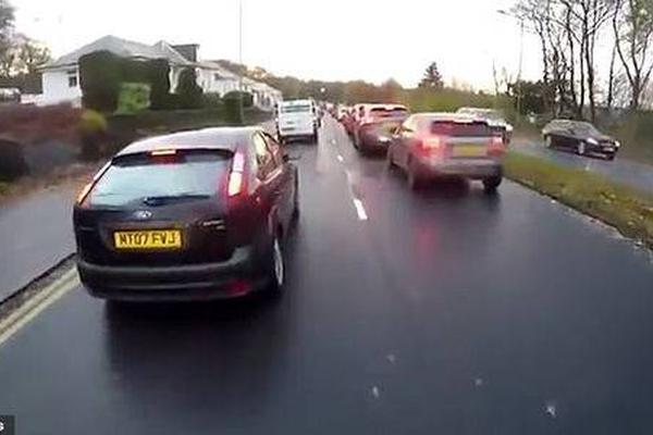 AIC再开闸，老树新枝更需苦练内功