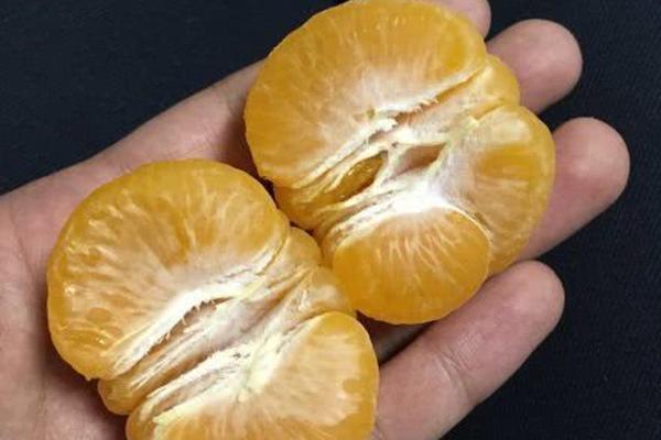 高德红<外>：上半年归母净利润1.81亿元，同比增长906.85%