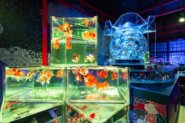 消息称英特尔在寻求苹果;投资及.合作 双方已在谈判