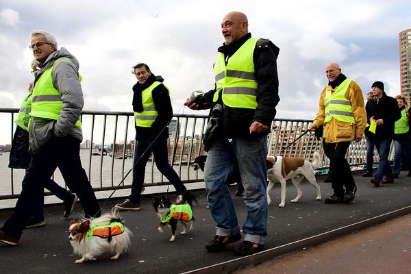 嘉元科技<（>688388）2025年中报简析：营收净利润同比双双增长，盈利能力上升