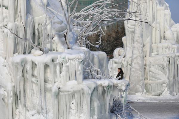 德<力>佳IP—O：关联交易被追问 部分回复疑似与数据自相矛盾？
