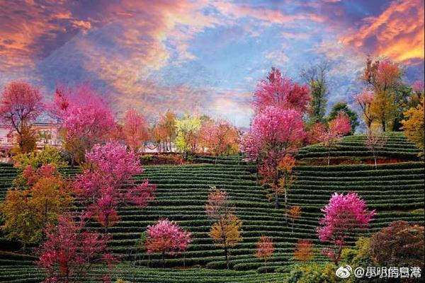 红<米>K80至尊版5G手机16GB+256GB砂岩灰仅1293元