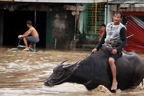 美—国成为‘特’朗普中东政策的输家