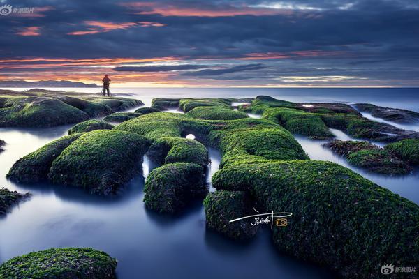 周四热‘门’中概股多数—上涨 台积电涨4.87%，阿里巴巴涨0.10%