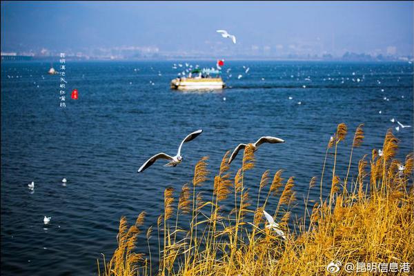 安.恒信息（:688023）：中标深圳市福田区民意速办和智慧城市建设中心采购项目，中标金额为194.80万元