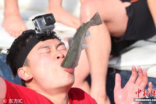 天相投顾：以长.周期之“稳”，促高质量之“进”