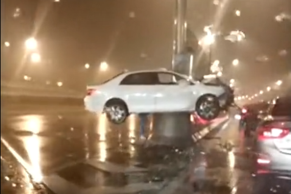 骤减81%:！特朗普新政冲击显现!