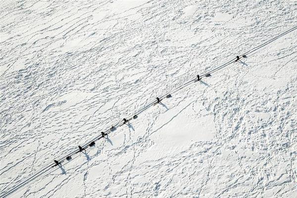 Gemin—i 3打服奥特曼马斯克，谷歌CEO却在担心AI泡沫