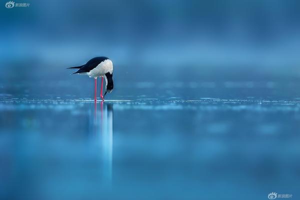 雷军斥?资超1亿港元增持 小米.涨超5%