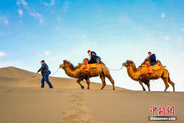 承德露露：公司将聚焦核心业务，全力以赴推进市场拓展