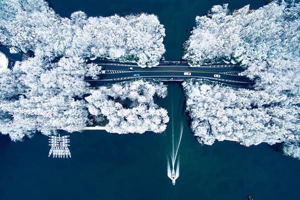 特朗普在9月.初带企业团访华？商务部回应