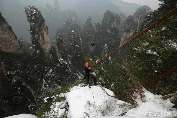 浙!商银行副行长骆峰：消费贷款财政贴息政策落地见效 申请量、用款量均有较大增长