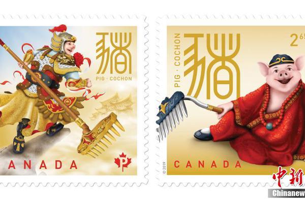 传奇—煤老:板王广西没人敢沾了