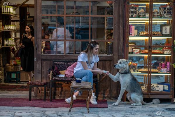 “投资—者<零>距离”——走进北证50成份股系列活动第五站走进苏轴股份