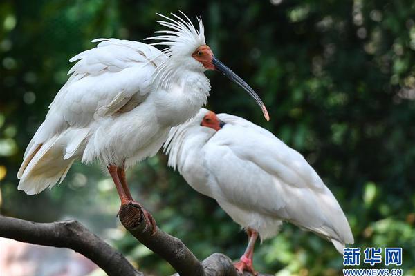 轮胎!集;团大赚，投17亿扩产！