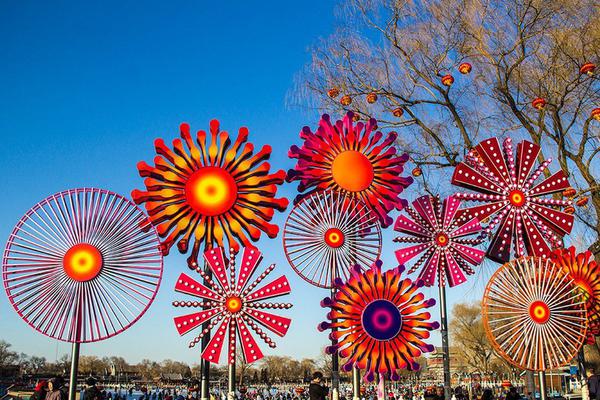 猪肉概;念下跌0.03%，主力资金净流出17股