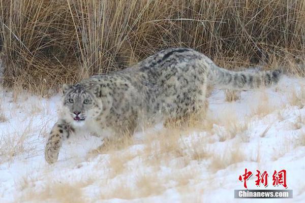 【?百?强透视】Q3业绩“崩塌”！利润转亏，理想面临转型阵痛