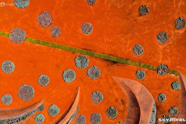 亚洲金融发,布中期业绩 股东‘应’占溢利4.23亿港元同比增加17.15%