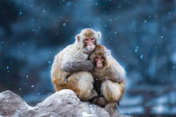 宏昌电子<(>6;03002)6月30日股东户数5.89万户，较上期增加2.27%