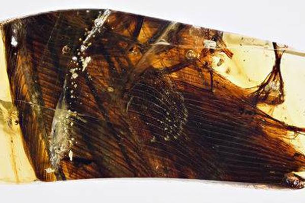 上半?年公募代;销榜：蚂蚁基金、招商银行继续领先，券商搭上指数“快班车”