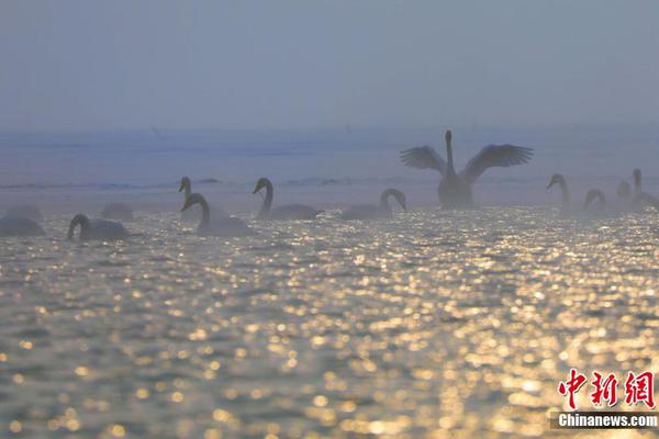 爱.克股份：无逾期担保
