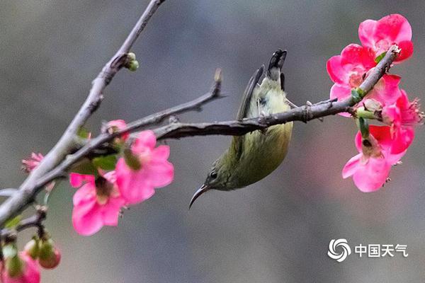 S—T证通;维权案已在审理中，符合条件还可参与