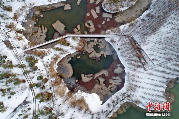 数!据规模占全球26.67％！从医保码到“秧BOT”