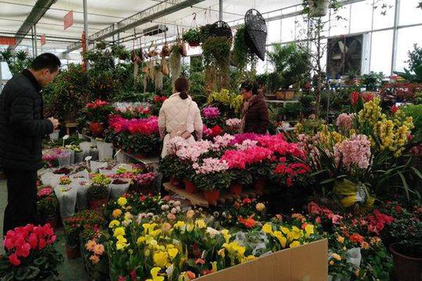 岚图汽车;光速递表背后：销量增速大幅放缓、新车表现不及预期 研发投入占比4%、销售费用率近20%