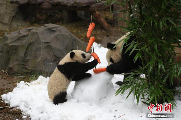 美国消—费者?信心跌至接近纪录低点 个人财务看法恶化