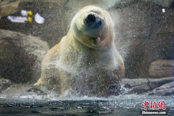 特朗普!关税“神助攻” 反让国际股票市场再次伟大