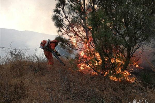 昂利康：拟定增—募资不超过11.6亿元