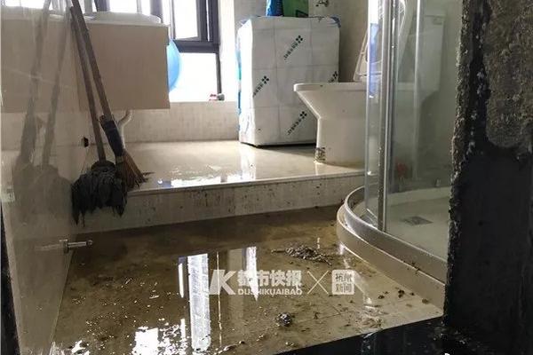 合合信息刘忱：AI—竞争的核!心是时间、方向与耐心的竞争