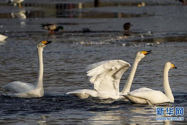 中,信—期货：午盘点评8.22