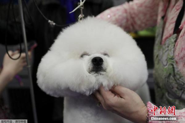 蔚来公司交出“史上最;强”三季报，预计2025年第四季度营收创新高