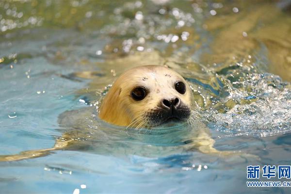 德—迈仕：截至2025年9月30日公司在册股东人数约为1.34万户