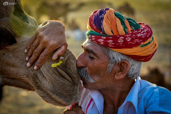 刘强东—再次直播做:宿迁菜，卷饼尖椒小鱼、酱豆炒鸡蛋均已上线七鲜小厨丨直击京东品酒会