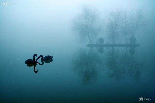 邀请函; | 中信建投证券2026年资本市场峰会暨中国-沙特投资合作论坛