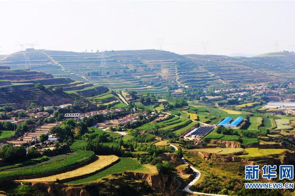 垒知集:团：公司未投资摩尔线程