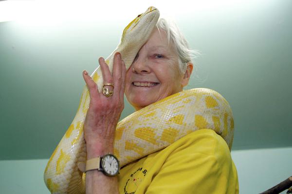 美联—储：不,会在库克听证会上发表意见，将遵守任何法院裁决