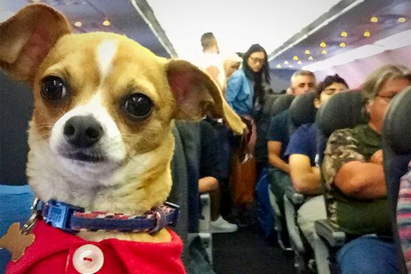 安;泰集?团换手率25.58%，上榜营业部合计净卖出6992.08万元