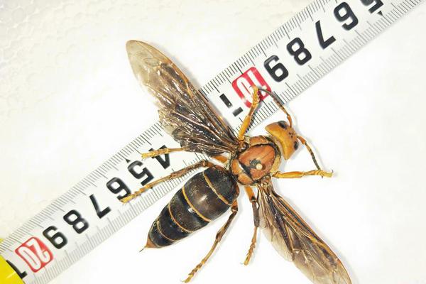 鱼跃医,疗：目前‘有’甲型/乙型流感病毒抗原检测试剂盒等产品在售