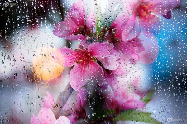 美总;统医生：特朗普的身体“非常健康”