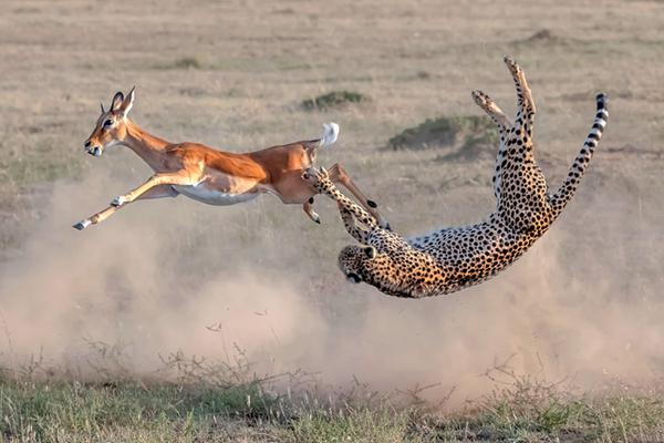 乘!势而上【国盛宏观|政策半月观】