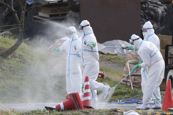 渤.海轮渡：截至11月10日股东数为23742户