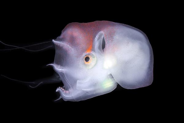 2025‘年’10月份工业生产者出厂价格同比降幅继续收窄 环比由平转涨