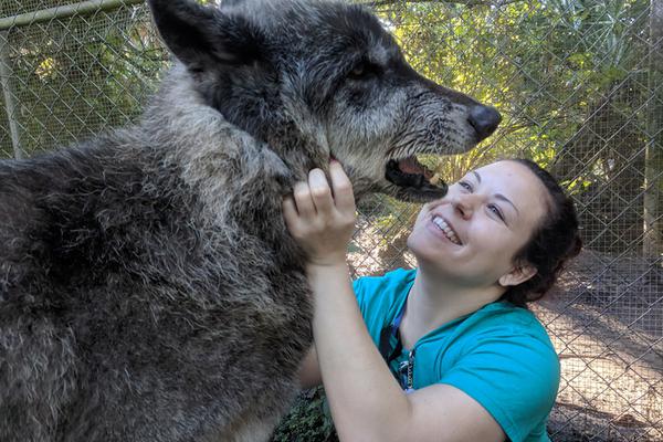 消<息>称iPhon.e 17系列预订需求高于iPhone 16同期 产量也更高