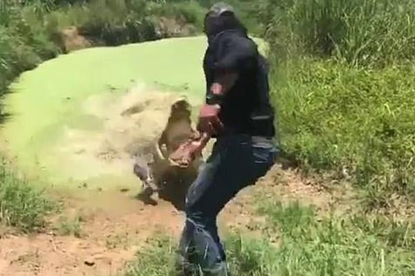 飞天茅台市场:价跌破2000，对贵州茅台的业绩有多大影响？