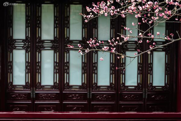 艾芬达：‘公’司<产>品已经覆盖天猫、京东、抖音等主流电商平台